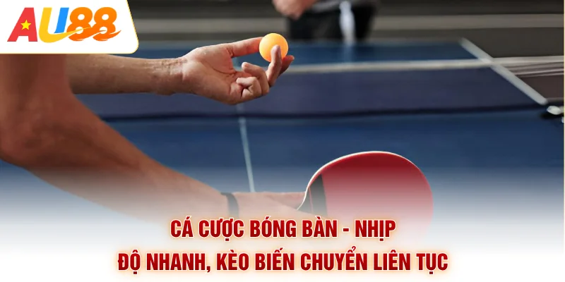 Cá Cược Bóng Bàn - Nhịp Độ Nhanh, Kèo Biến Chuyển Liên Tục