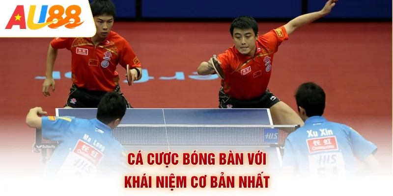 Cá cược bóng bàn với khái niệm cơ bản nhất