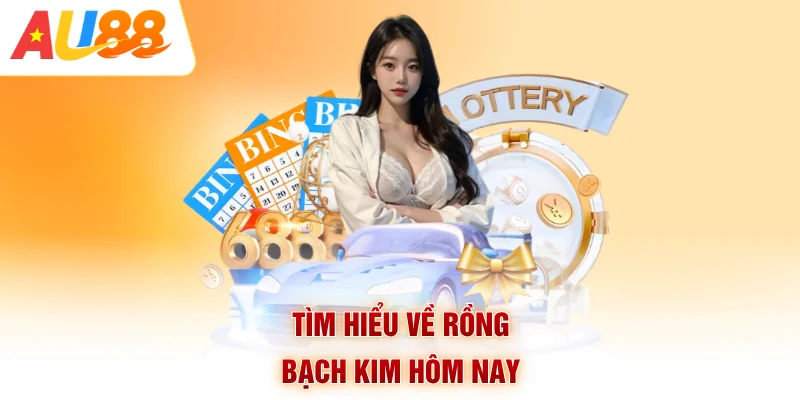 Tìm hiểu về Rồng bạch kim hôm nay